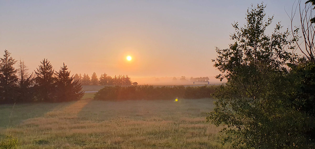 Solen går upp över fälten. Foto: Martina Hansen