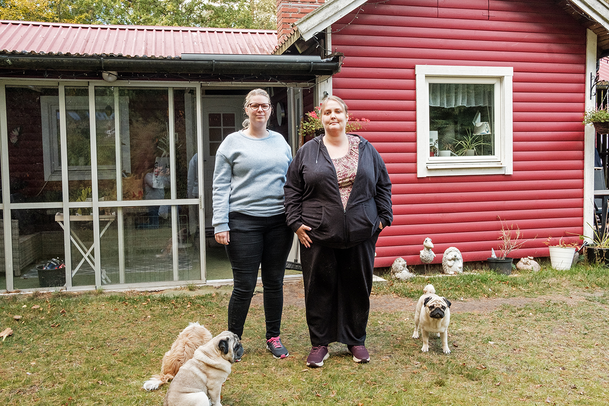 De två mopsarna är Sofies. Den tredje hunden vaktar hon till grannen som är bortrest. Foto: John Antonsson